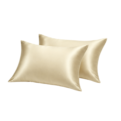 2x 100% MULBERRY SILK PILLOWCASE